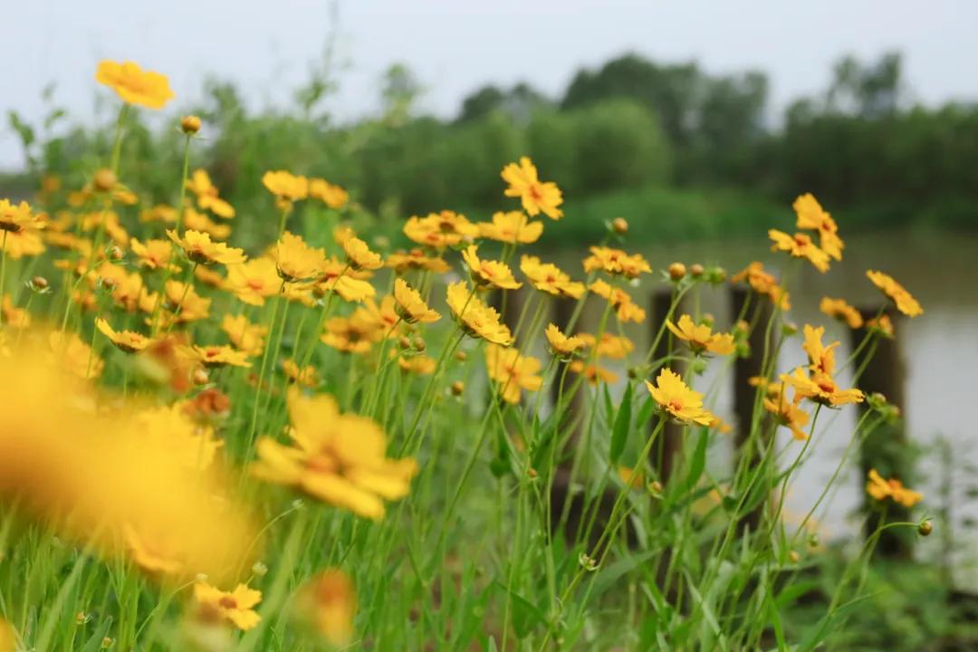 重磅推荐,寂寞的清泉最新小说,心动不已的清泉世界!