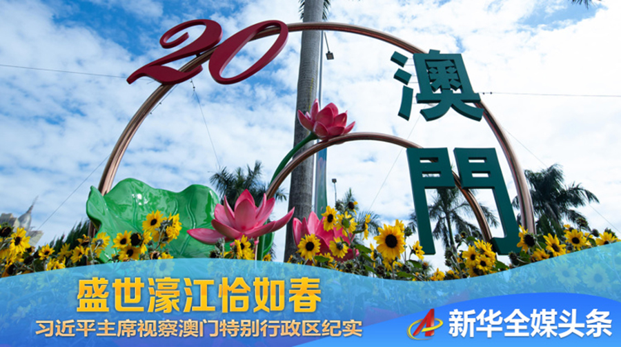 澳门天天开彩大全免费,高效执行方案_拍照版28.460