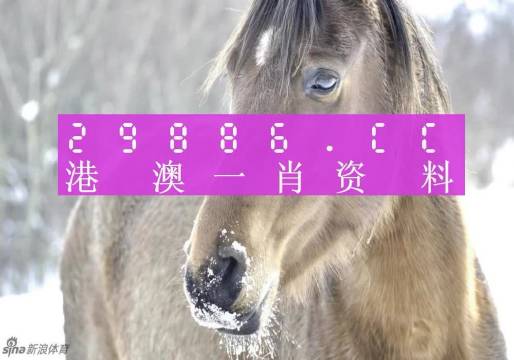 今晚一肖一码澳门一肖com,精准解答方案详解_经典版90.689