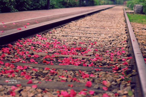 2016年,陪伴的力量,温暖每一刻