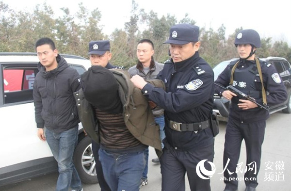 深度探究与案例分析,揭秘合肥最新杀人案内幕