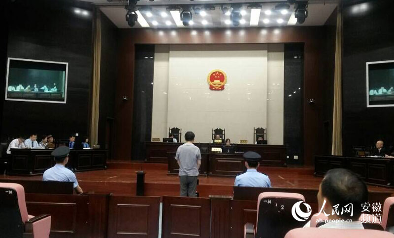 深度探究与案例分析，揭秘合肥最新杀人案内幕