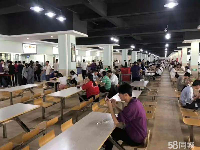 昆山仁宝最新驻厂招聘详解,从初学者到进阶用户的招聘步骤指南