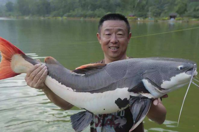 第1633页