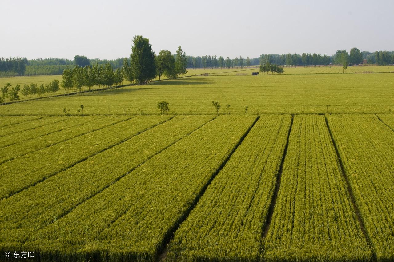最新农村征地补偿标准调整,变化带来自信与成就感提升