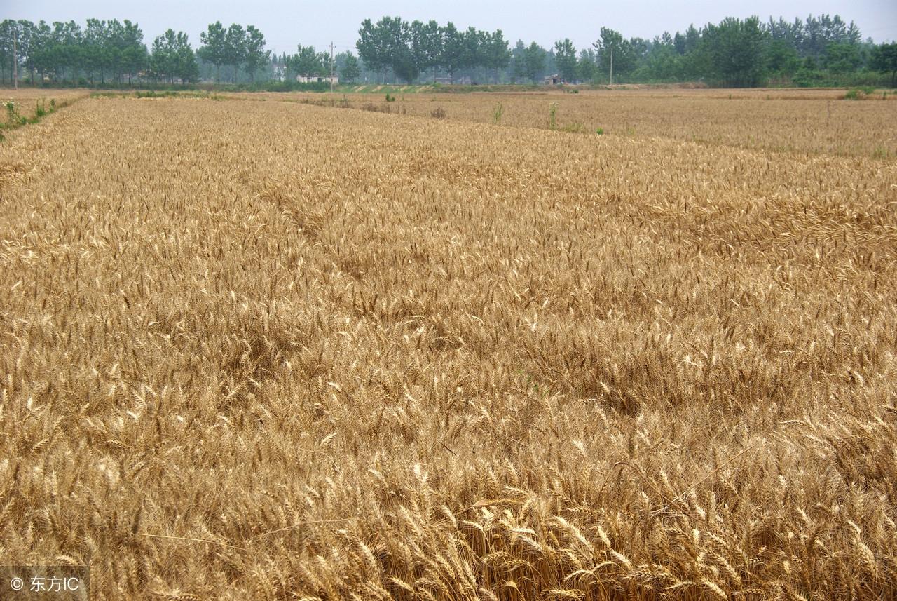 最新农村征地补偿标准调整,变化带来自信与成就感提升