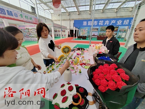 洛阳莲庄最新新闻,洛阳莲庄最新新闻,如何获取并了解洛阳莲庄的最新新闻