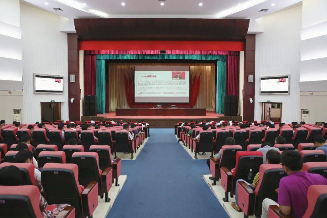 海南政策最新解读，发展动向全面解析