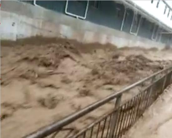 钟鸣,拥抱变化,自信成就未来,最新学习引领未来之路