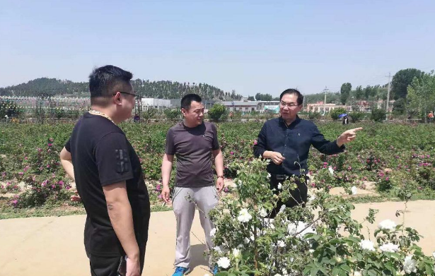 平阴最新招，友情盛宴与奇妙日常的交融
