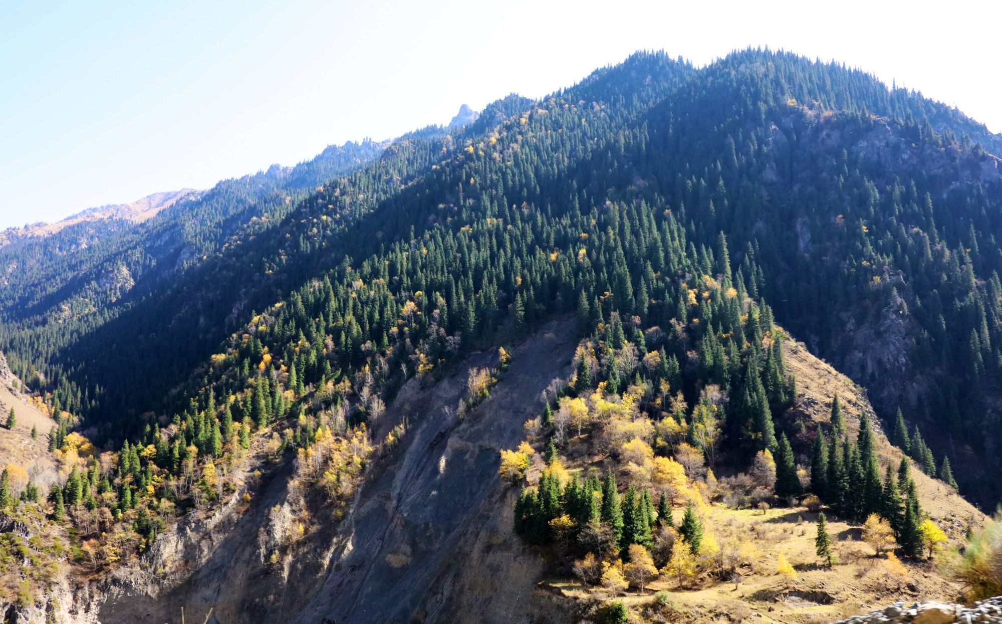 时代背景下的最新后峡,重大事件及其影响