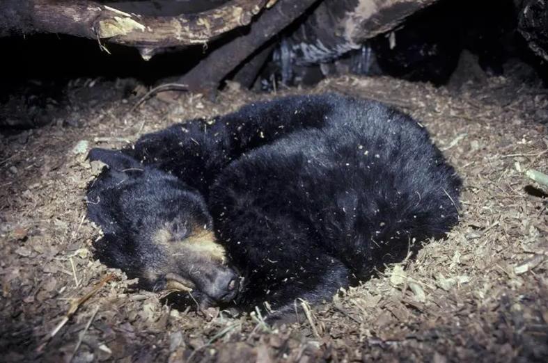 南安泉州,繁荣发展的城市与活力四溢的人文风情