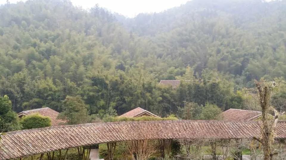 最新竹建筑,最新竹建筑,小巷中的隐藏宝藏