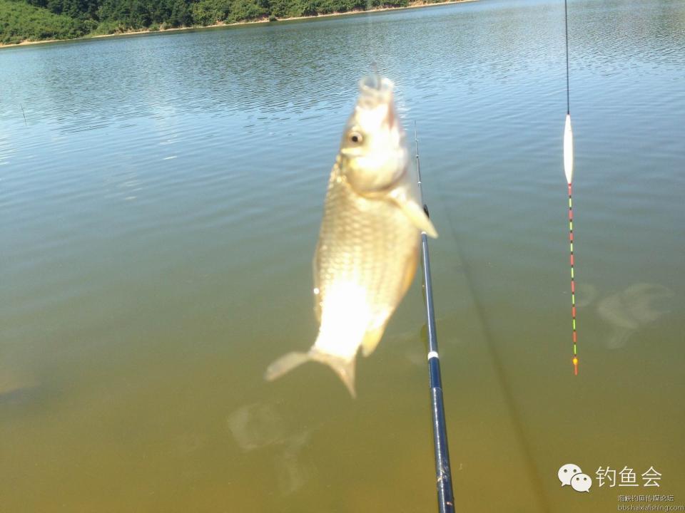 最新钓定,变化中的自信与成就感探寻