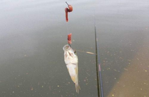 最新钓定,变化中的自信与成就感探寻