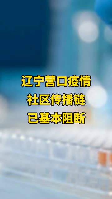 营口最新疫情下的自然探索之旅,寻求内心宁静与平和