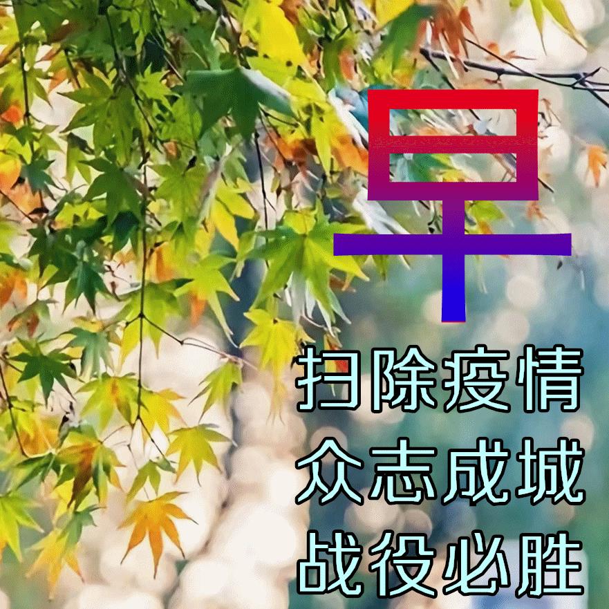 最新疫情下的日常小确幸时刻