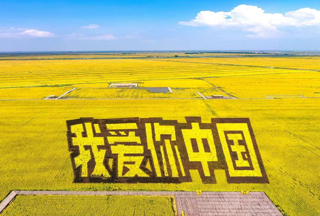 不锈钢链板 第286页