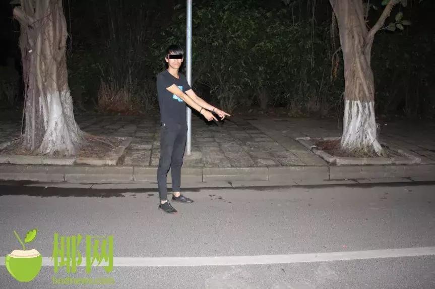 海口最新确认,探讨城市发展的观点与展望