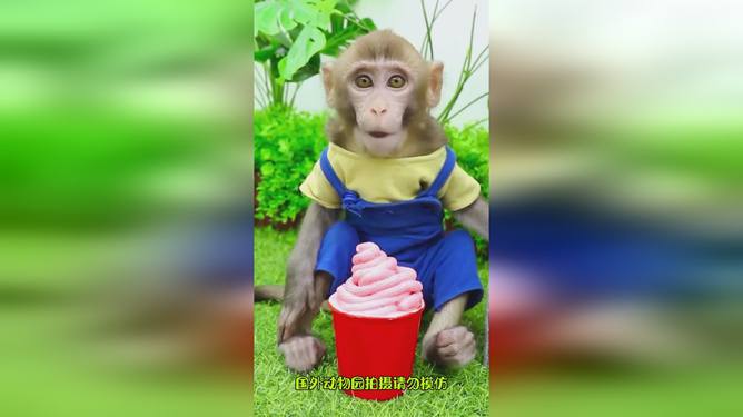 猴哥技能全攻略，学习猴哥技能的最新指南