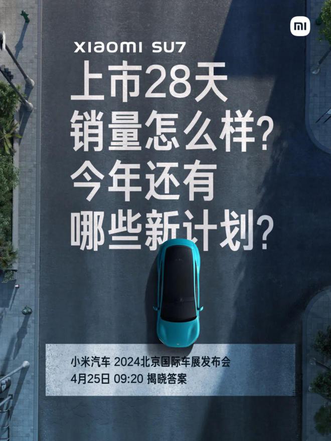 最新定档步骤指南详解