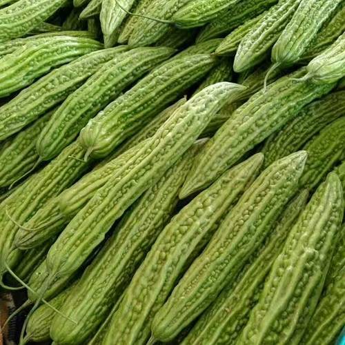 苦瓜网最新高科技产品介绍及展示