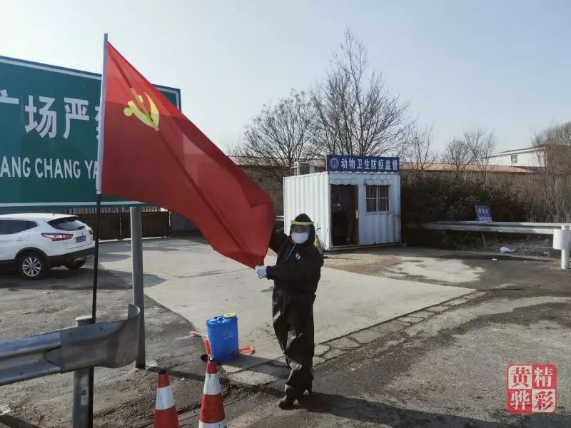 黄骅最新疫情紧急关注，守护家园健康📢💪