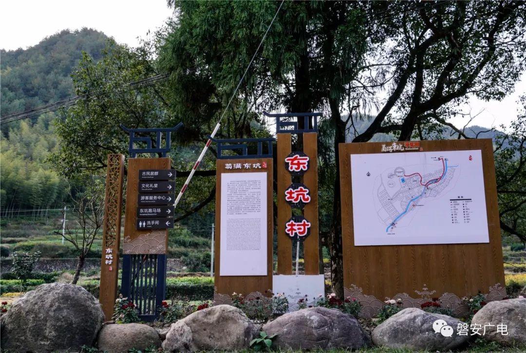 东坑最新一日，友情、趣事与家的温馨汇聚