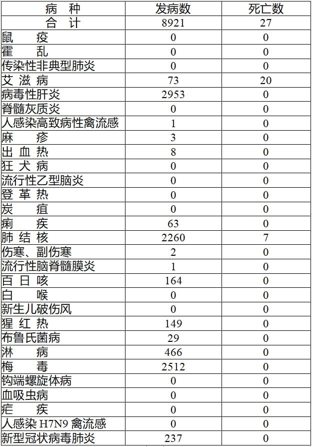 最新感染报表背后的自然之旅,寻找心灵的宁静