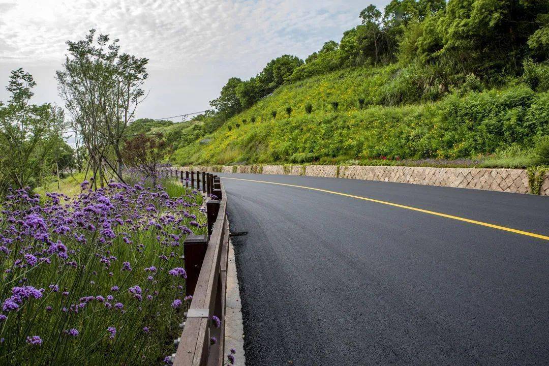 微公路最新,微公路最新,藏匿小巷的味觉秘境