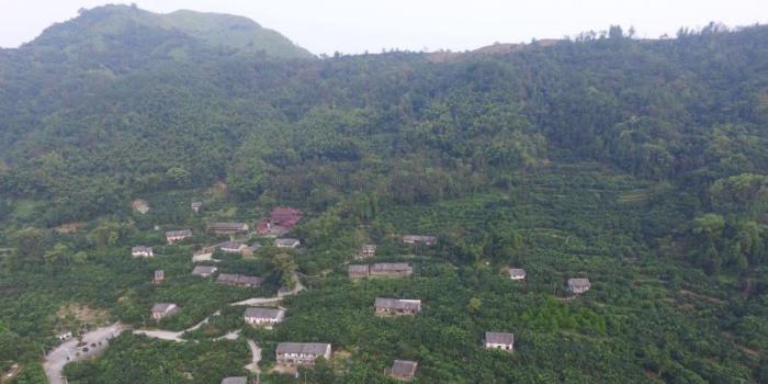 乡村故事最新探秘,小巷深处的特色小店