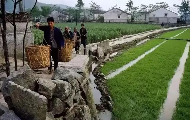不锈钢链板 第276页