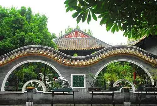 顺德最新公交发展，一路向前，展现自信与成就之路