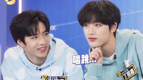 鑫鑫最新观点阐述,最新动态与深度解读