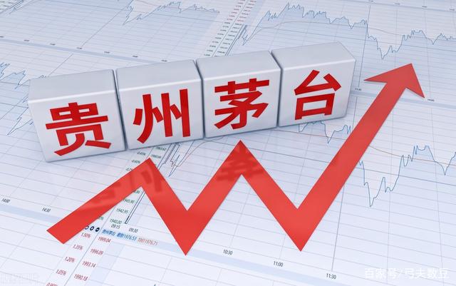 不锈钢螺旋网带 第268页