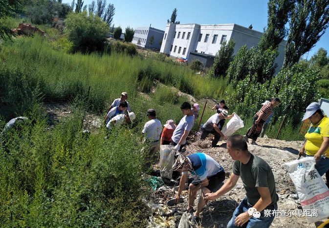 米粮最新动态聚焦,行业趋势与发展展望