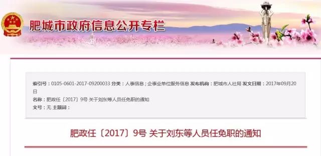 企业领导层最新人事任免动态，最新认识任免揭晓