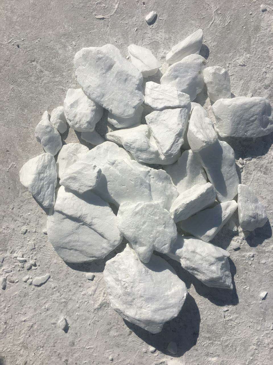 滑石的奇妙之旅,最新应用与温馨日常故事探索