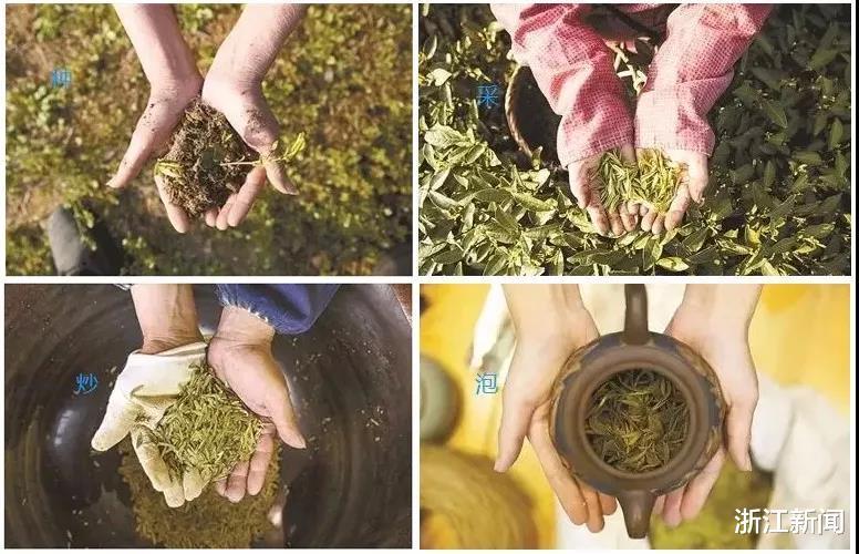 最新病例消息,如何看待与应对的策略分析