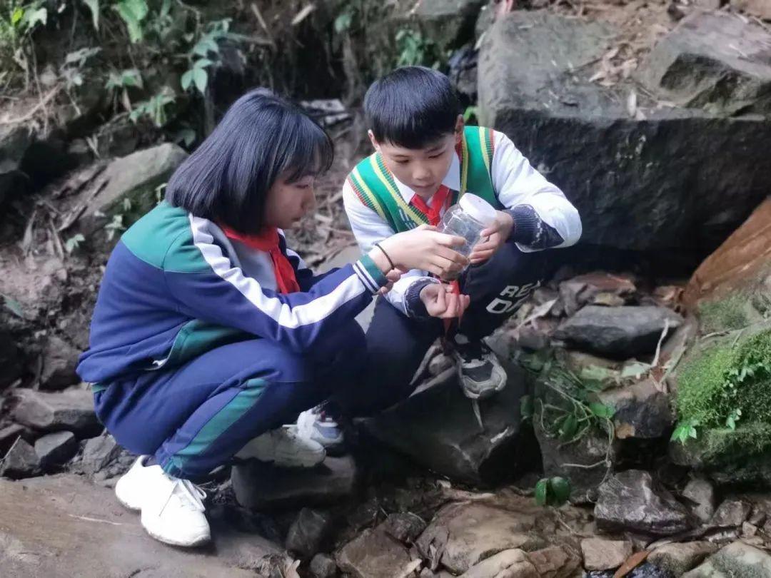 科技重塑生活,小布查看最新,未来触手可及