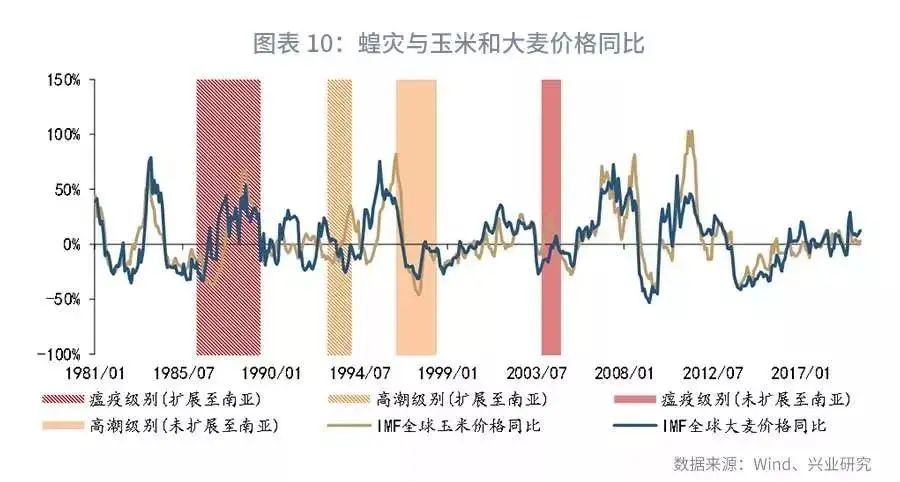 蝗虫最新走势,蝗虫最新走势,全球视野下的沙漠之翼迁徙现象