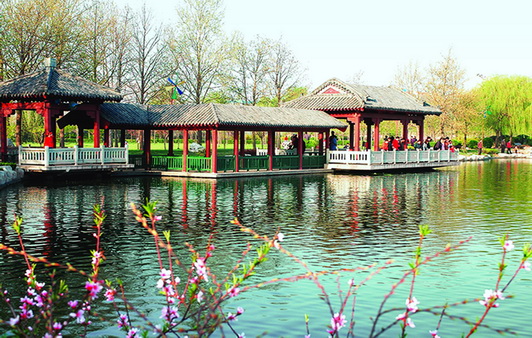 齐园最新版使用指南,任务完成与技能学习全攻略(适合初学者与进阶用户)