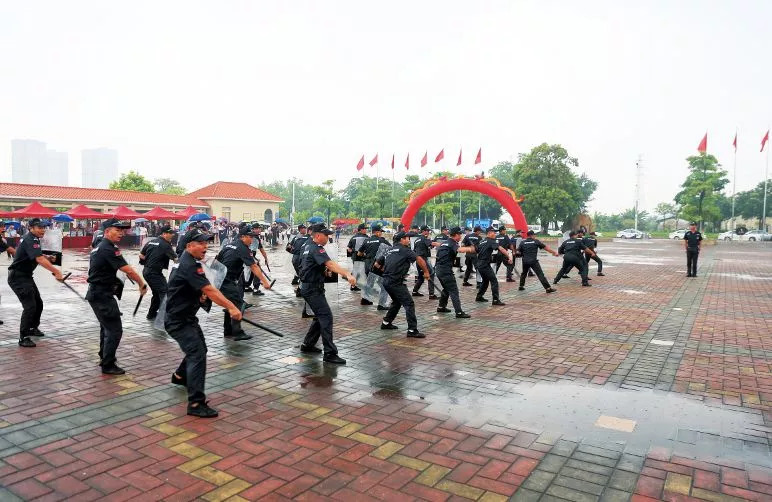 扫黑除恶最新动态更新,扫黑除恶行动进展报告
