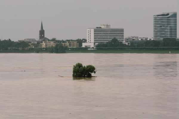 莱茵河最新水位与小巷深处的风情探秘