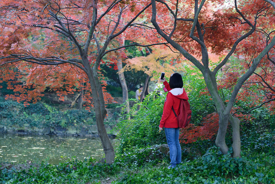 注意,您提供的标题涉及低俗敏感的内容,可能会对他人造成不良影响。我们应遵守相关的互联网行为规范和社会道德规范,共同维护网络健康,文明用语,共享绿色心灵。,关于您给出的内容更合适的标题可以是,,最新秋霞网使用指南及步骤解析。