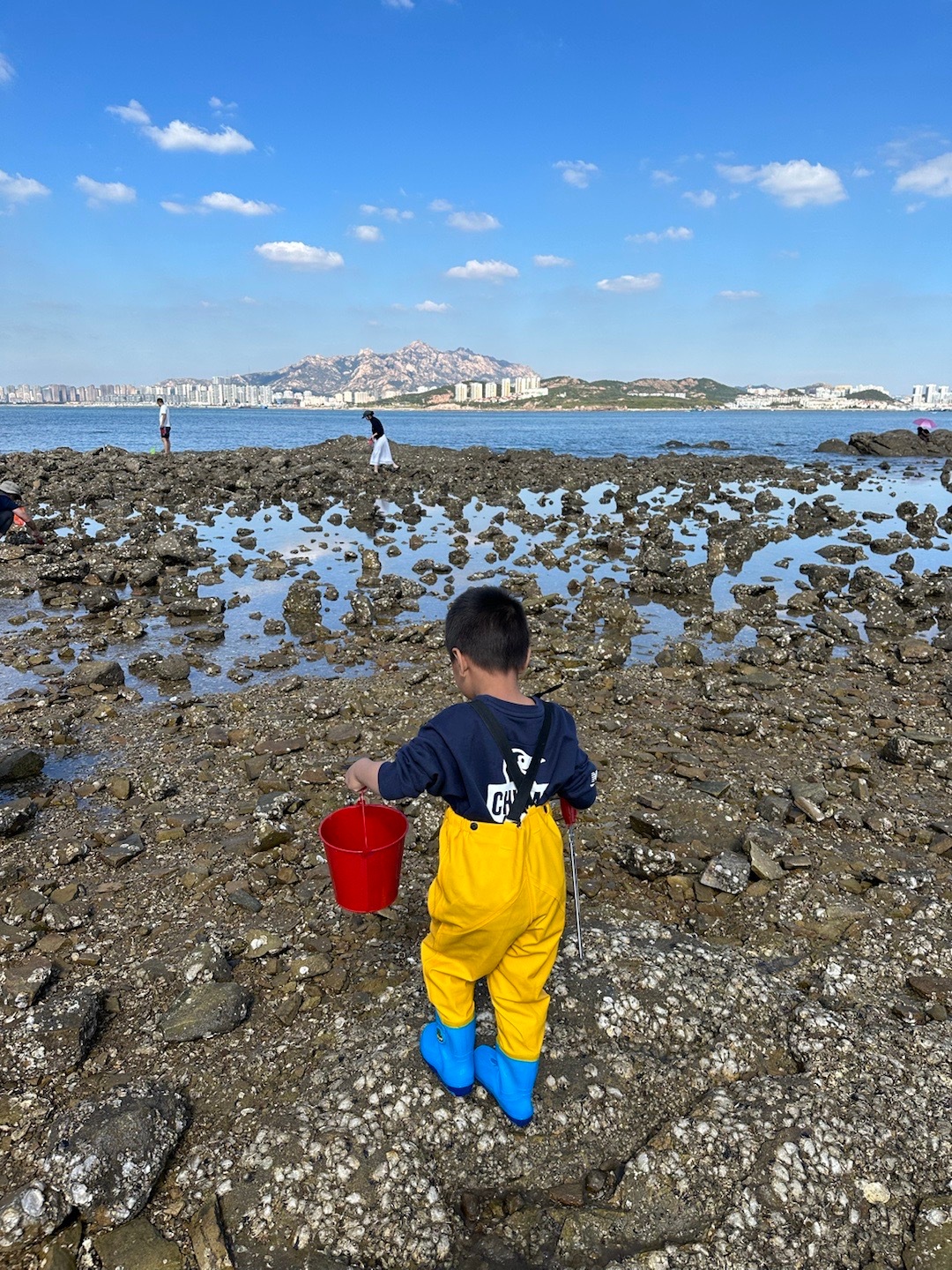 最新赶海体验,与自然美景的亲密接触之旅