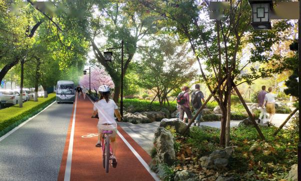 遵守法律道德,远离非法色情,探寻公园文化活动的丰富世界