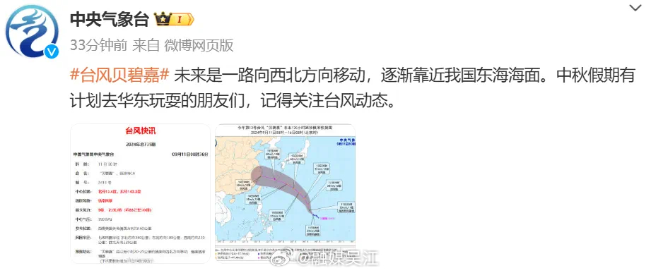 最新台风消息更新,风云变幻中的学习与准备