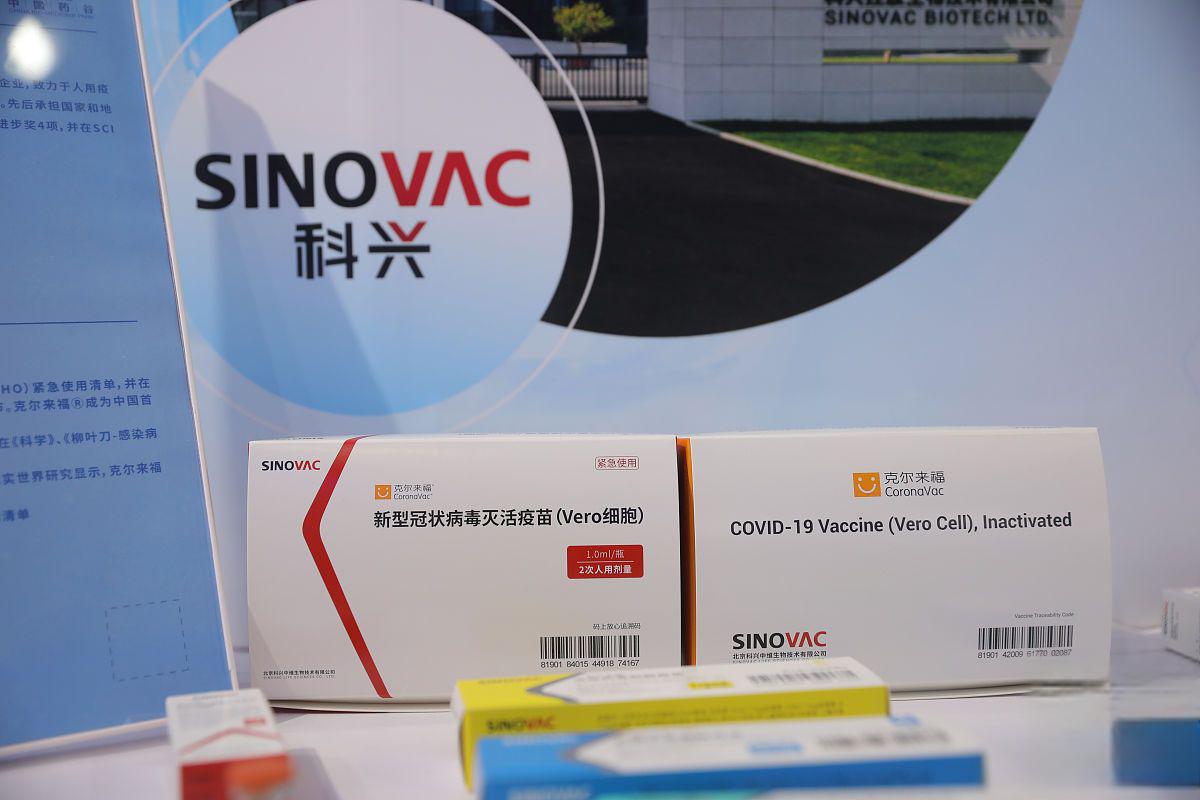 科兴生物最新疫苗消息揭秘,奇妙的一天进展更新
