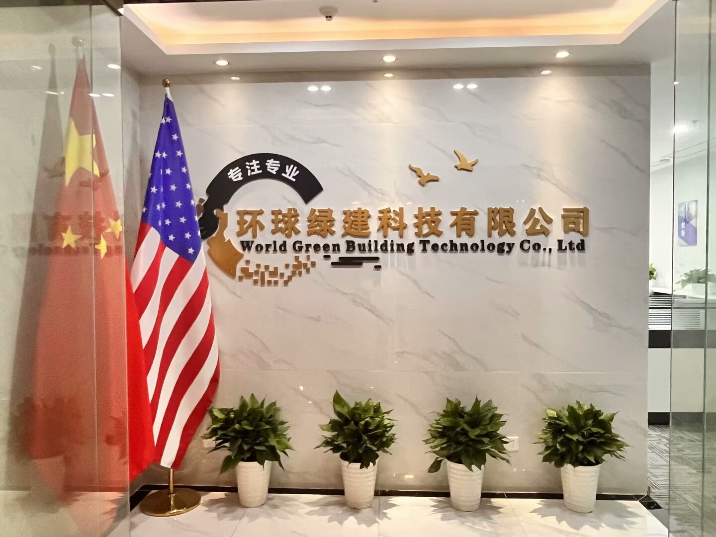 最新有限责任公司,背景、历程与地位概述